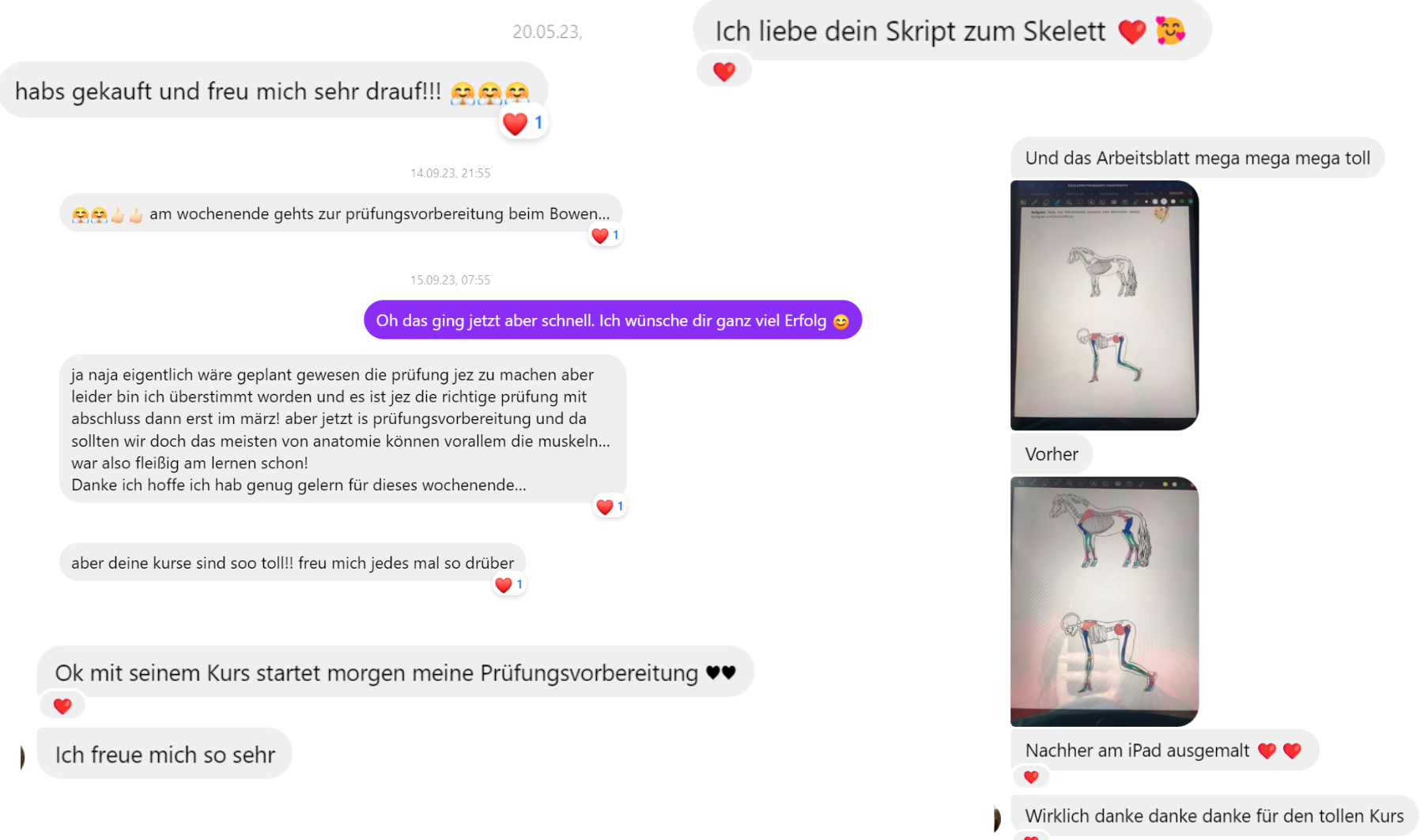 Feedback-Nachrichten von Teilnehmerinnen